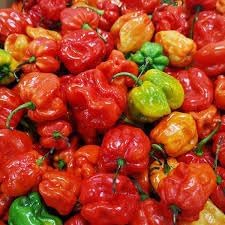 Ajicitoo Pepper Seeds for Planting - 100 pcs